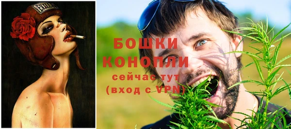 стафф Аркадак