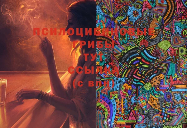 мяу мяу мука Армянск