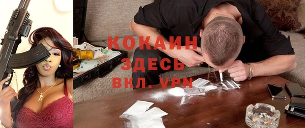 стафф Аркадак