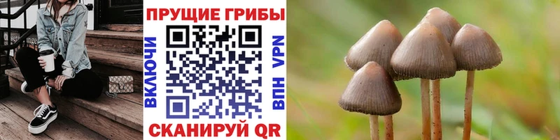 Купить закладки  Козельск  Галлюциногенные грибы прущие грибы 